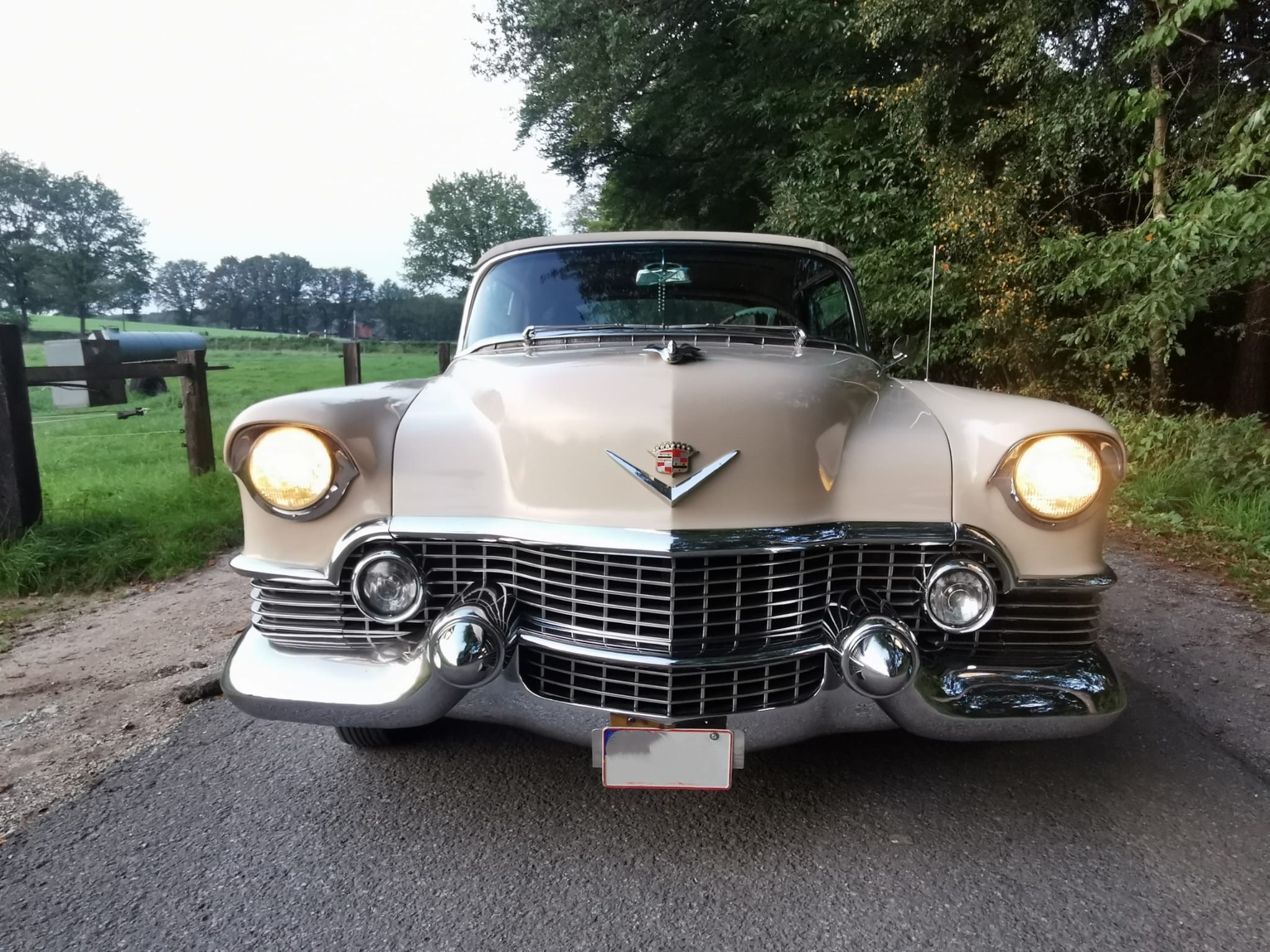 Hochzeitsauto-Vermietung - Nordrhein-Westfalen - Cadillac Eldorado Cabrio 1954