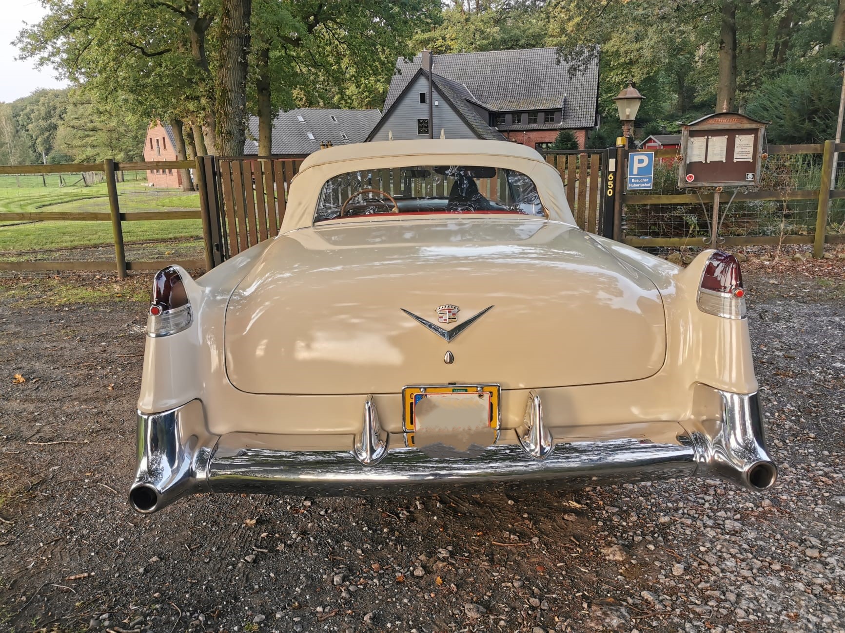 Hochzeitsauto-Vermietung - Nordrhein-Westfalen - Cadillac Eldorado Cabrio 1954